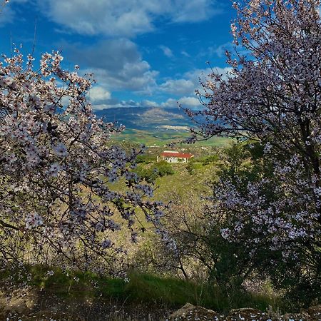 Willa El Sueno, Cortijo Andalusi Del Siglo XIX Almogía Zewnętrze zdjęcie