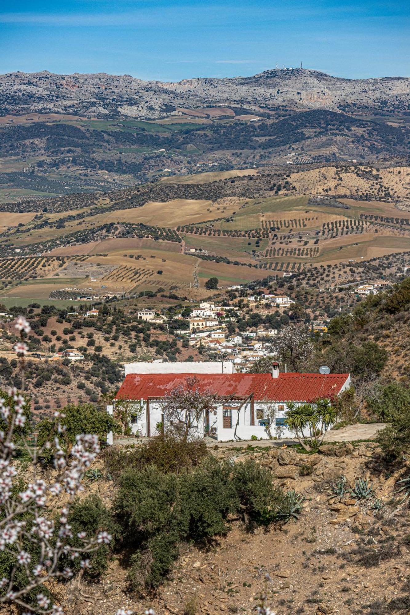 Willa El Sueno, Cortijo Andalusi Del Siglo XIX Almogía Zewnętrze zdjęcie