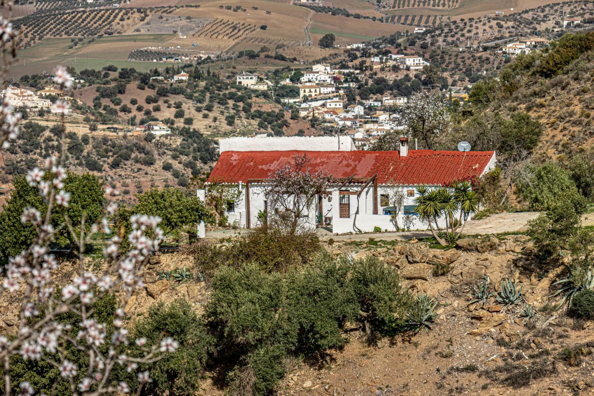 Willa El Sueno, Cortijo Andalusi Del Siglo XIX Almogía Zewnętrze zdjęcie