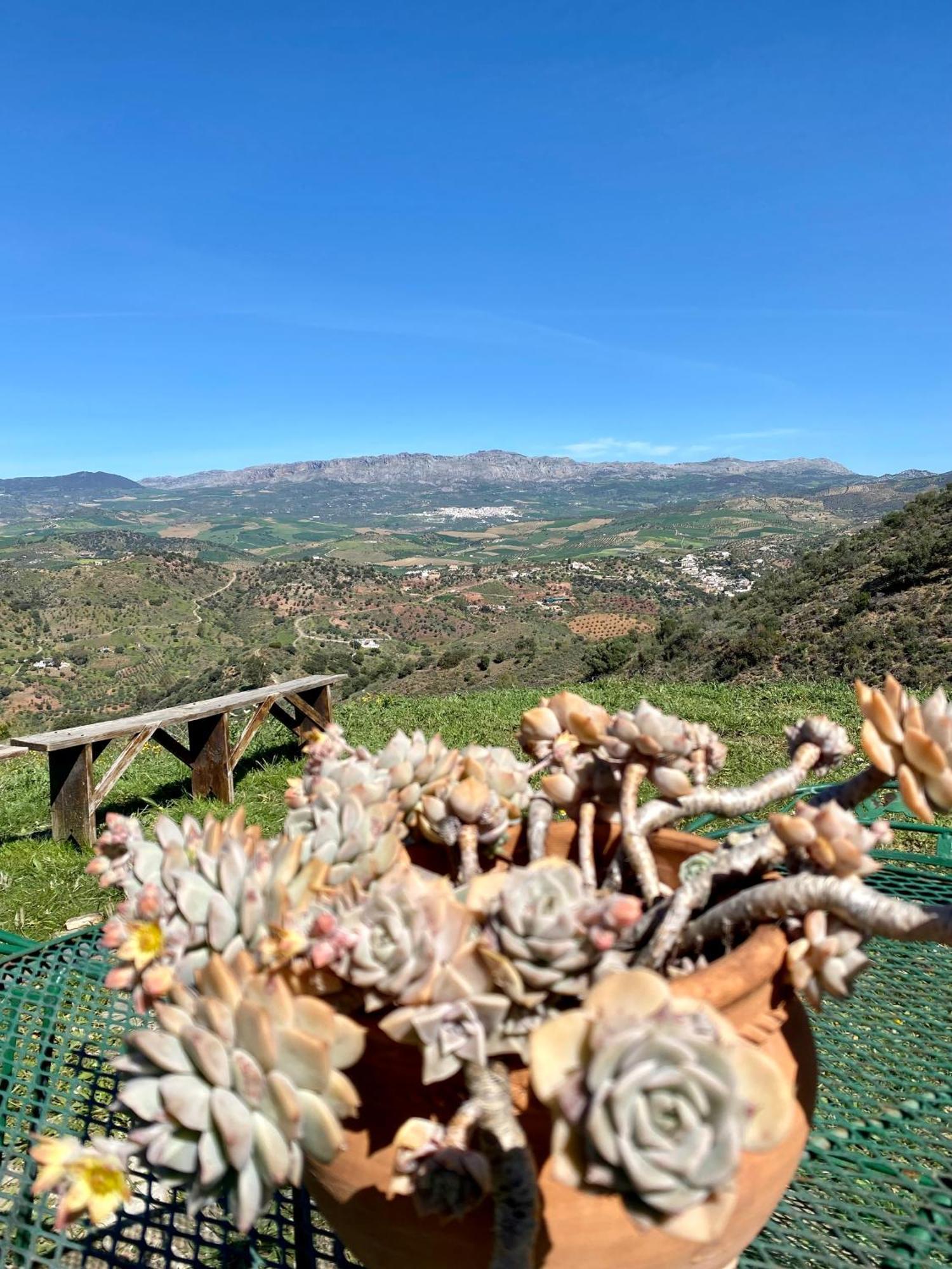 Willa El Sueno, Cortijo Andalusi Del Siglo XIX Almogía Zewnętrze zdjęcie